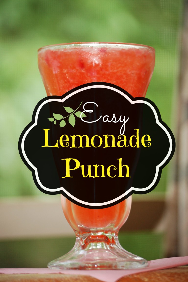 Lemonade Punch