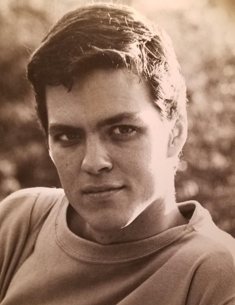 Who was Richard Sale? Stacy Horn