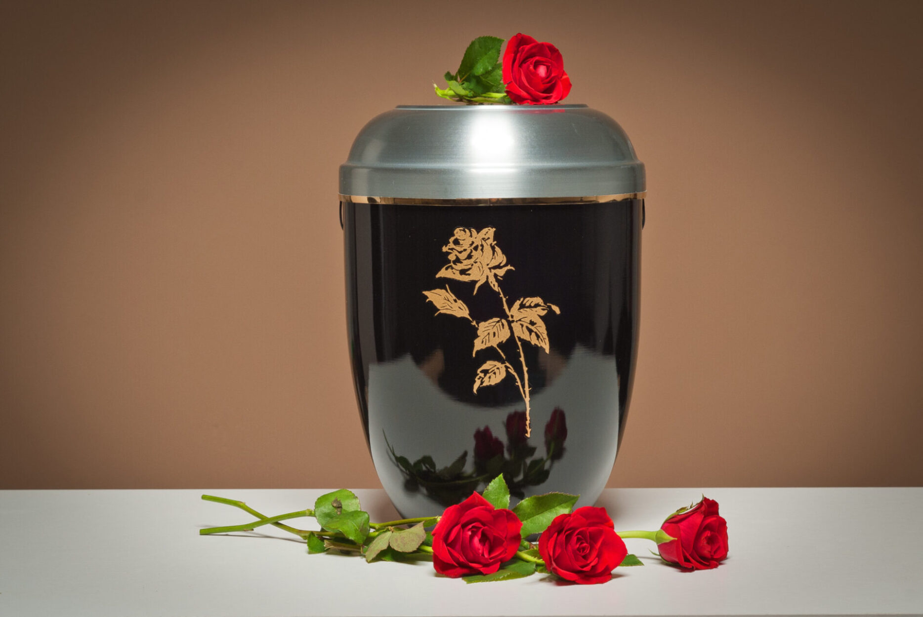 Aquamation How Water Cremation Will Protect the Earth Stacyknows
