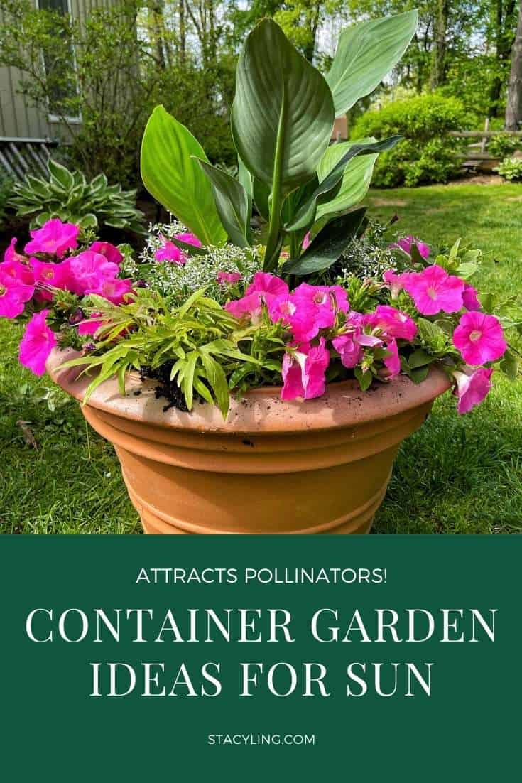 Flower Container Ideas For Full Sun Uk Best Flower Site