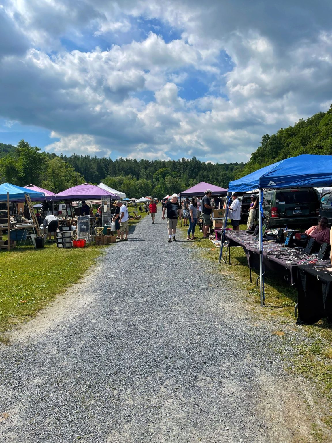 Shopping an Outdoor Flea Market in Vermont Bricks 'n Blooms with