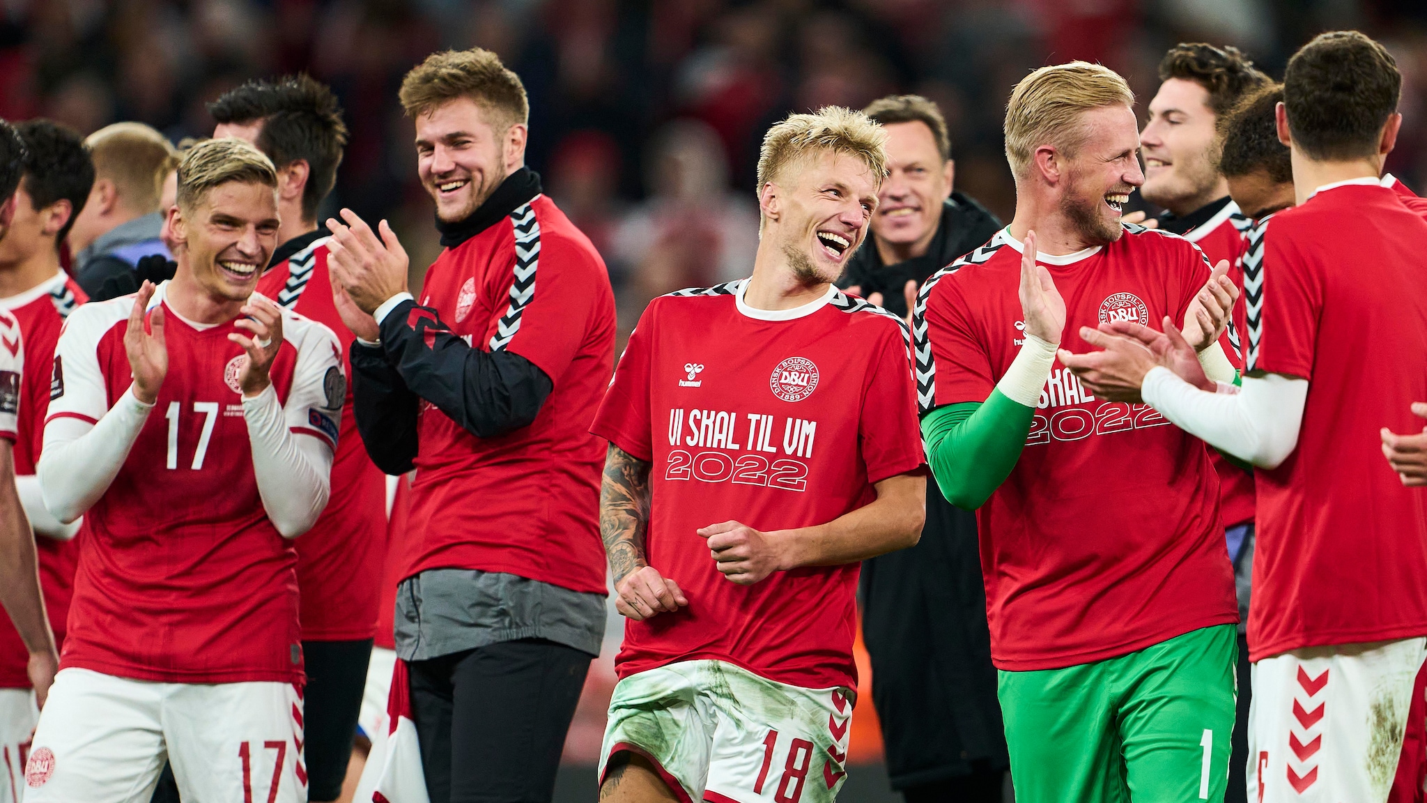 World Cup berth completes 'almost perfect' year for Denmark Stad Al Doha