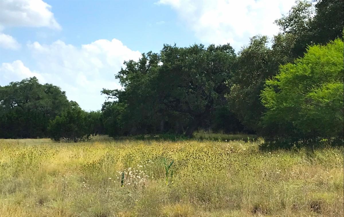 Lots For Sale Stadler Custom Homes