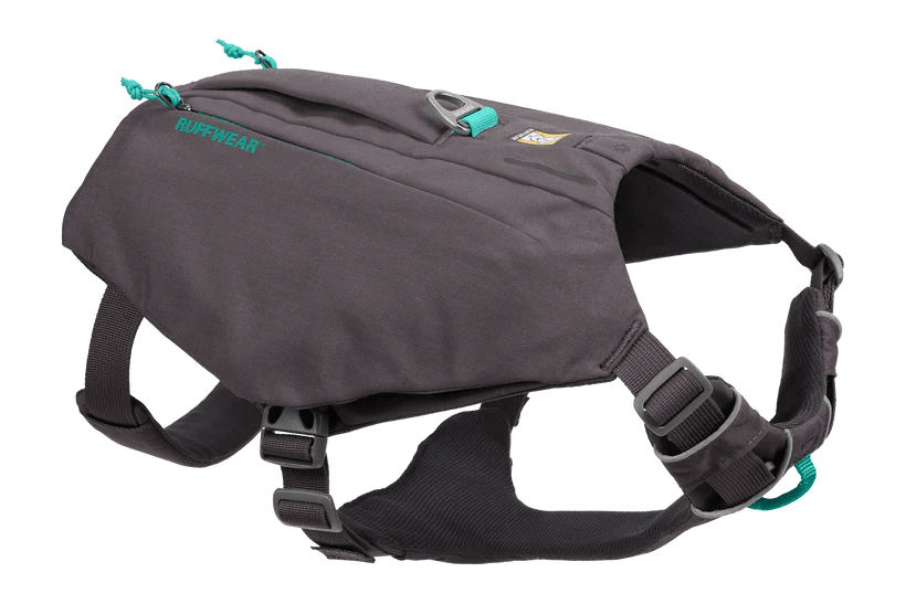 Best Staffy Harness Top 6 Harnesses for Staffies