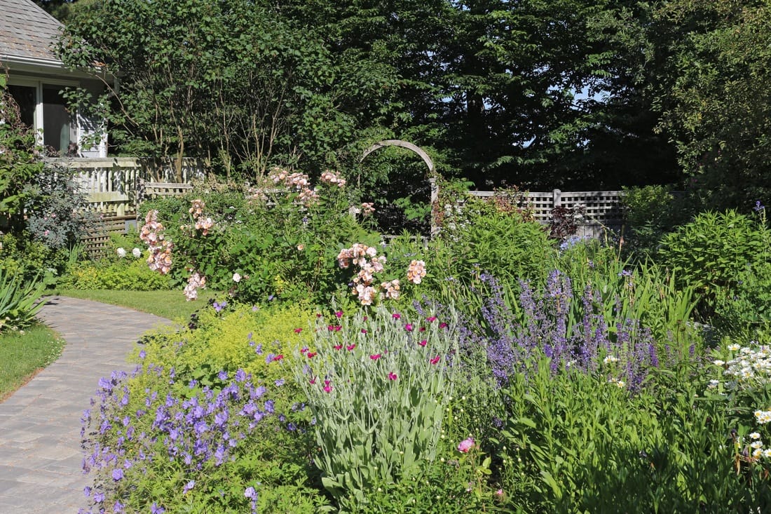 Interview with Wickie Rowland DynaScape