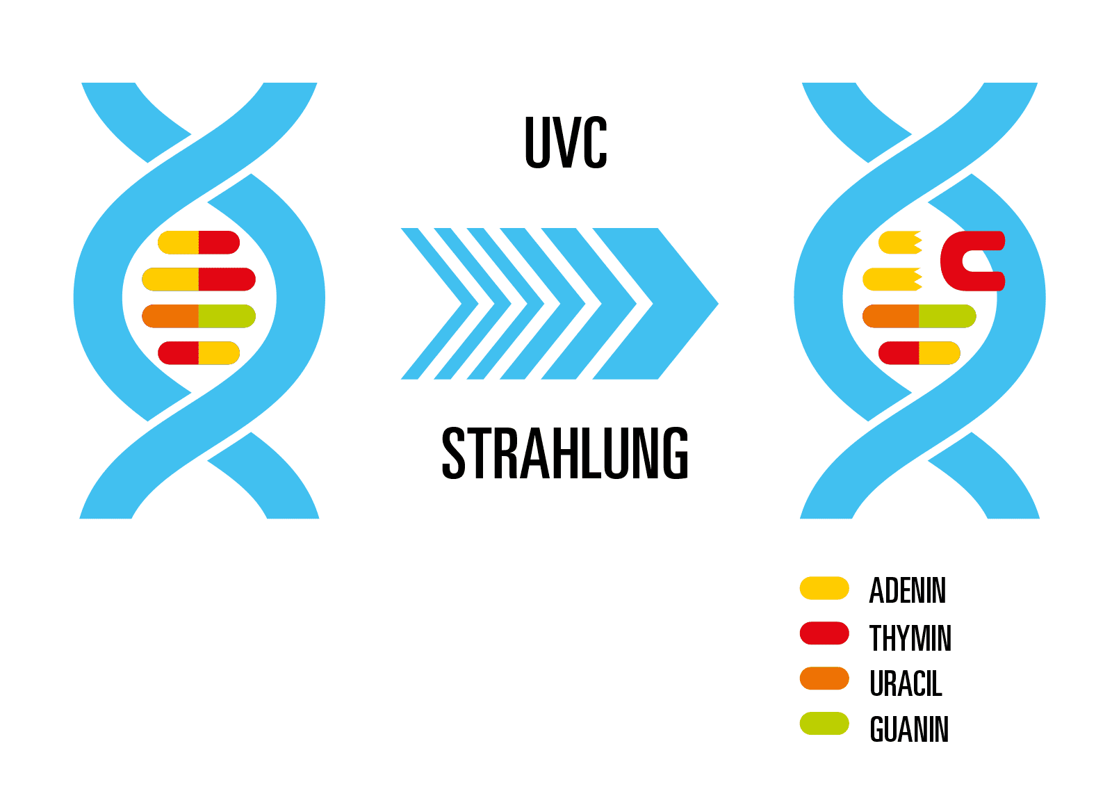 UV erklärt UV ist natürlicher Bestandteil des Sonnenlichts