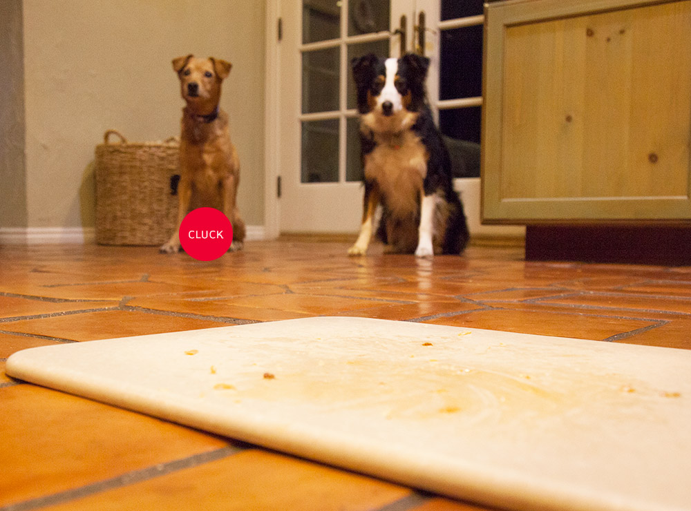 Dennis Leary wrote a song about Chuck dooce®