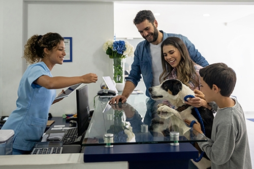 Introduction to Veterinary Receptionist Harriet Ellis