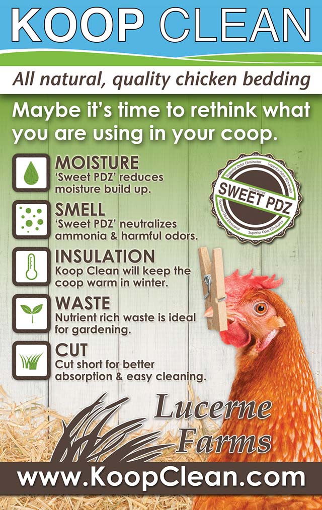 Koop Clean Benefits Moisture, Smell, Coop Insulation Chicken Bedding