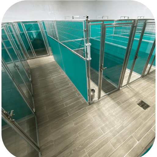 Dog Training in Arizona About Partners Dogs