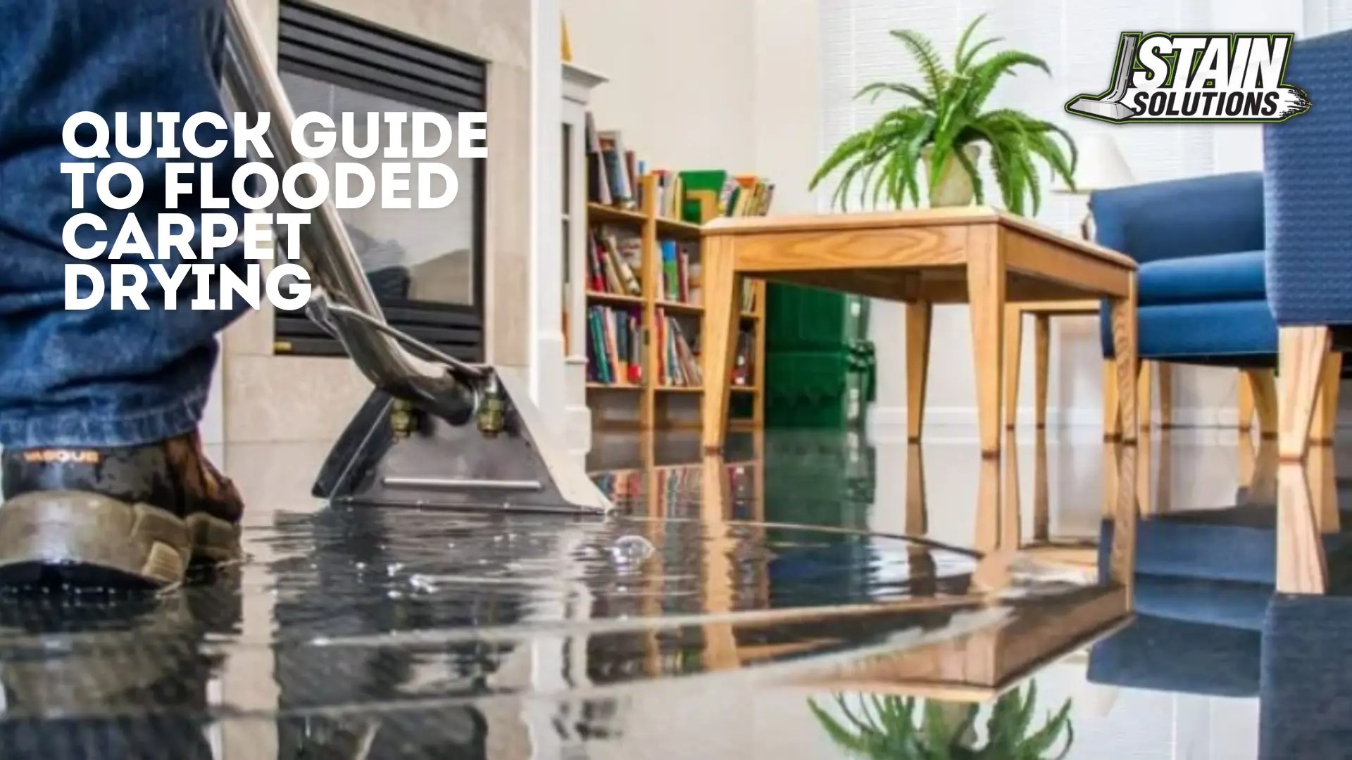 Quick Guide to Flooded Carpet Drying Stain Solutions Carpet Cleaning