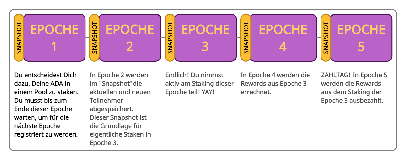 When do I get my ADA Staking Rewards? CARDANO STAKEPOOL