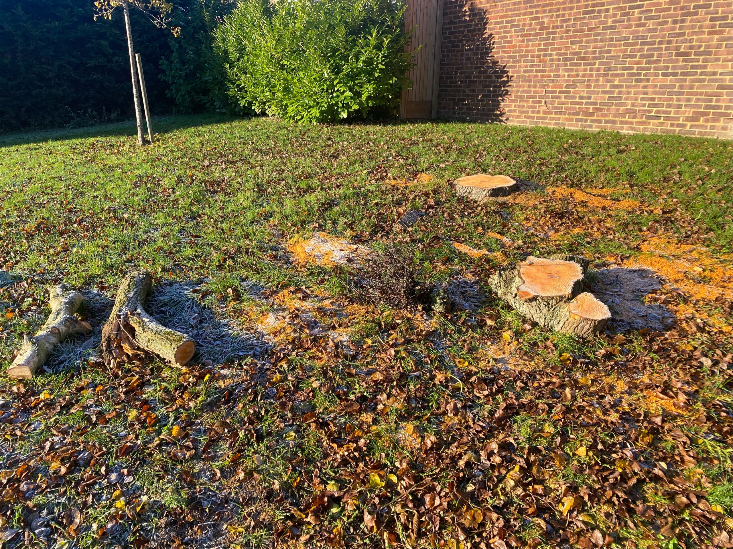 Bid to build two homes on Verulam Estate community land St Albans Times