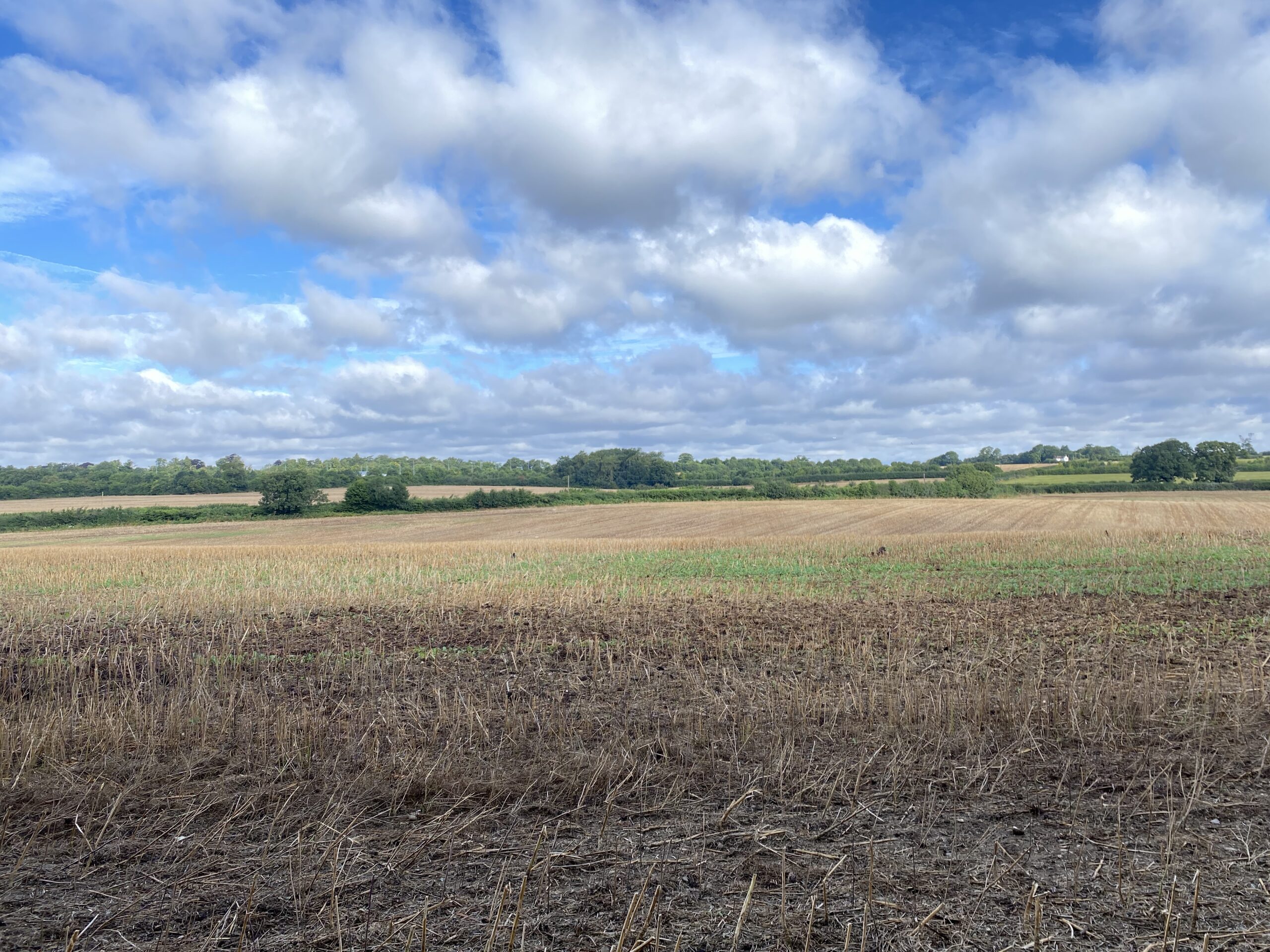 Flawed transport strategy for north St Albans housing development? St