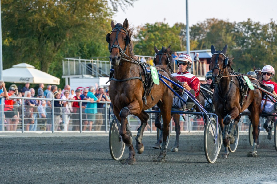 Cometen nærmest heldig med tredjeplads Stald Bornholm.nu