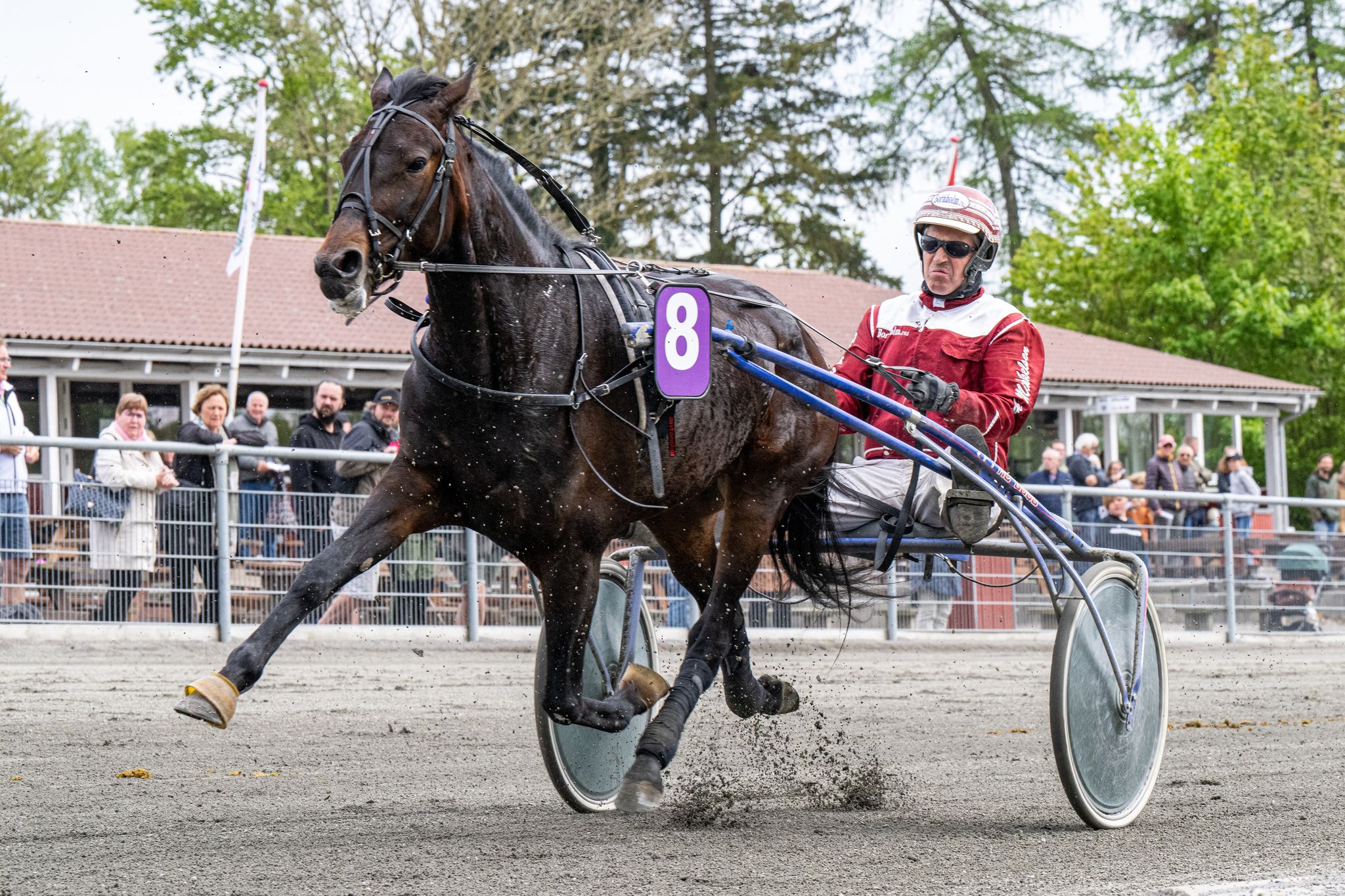 Også Gullfoss til start Stald Bornholm.nu