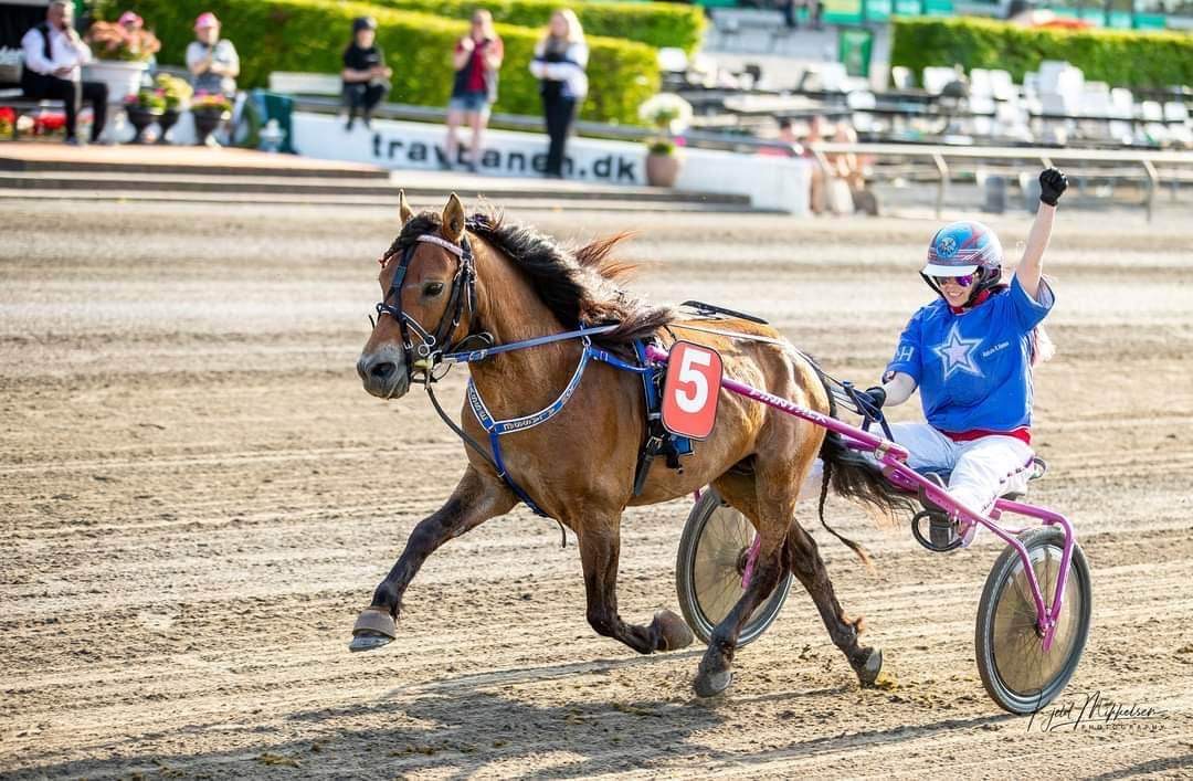 Stald Bornholm Nu støtter Elitloppsdeltager Stald Bornholm.nu