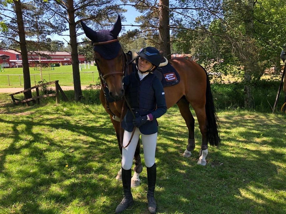 HästFysioterapi & Stötvågsbehandling på häst