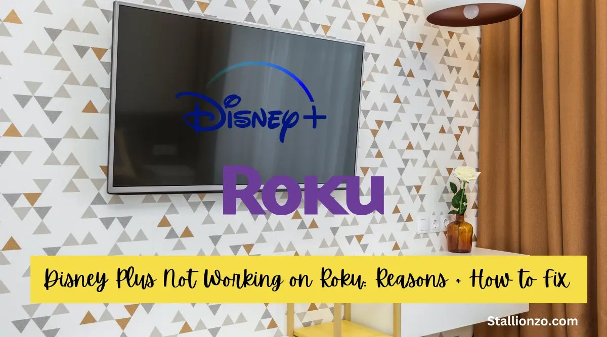 Disney Plus Not Working on Roku Reasons + How to Fix