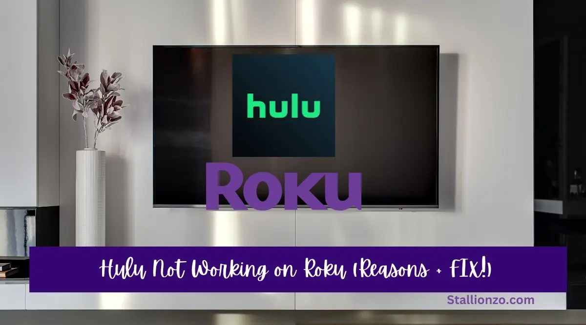 Hulu Not Working on Roku Reasons + Fix