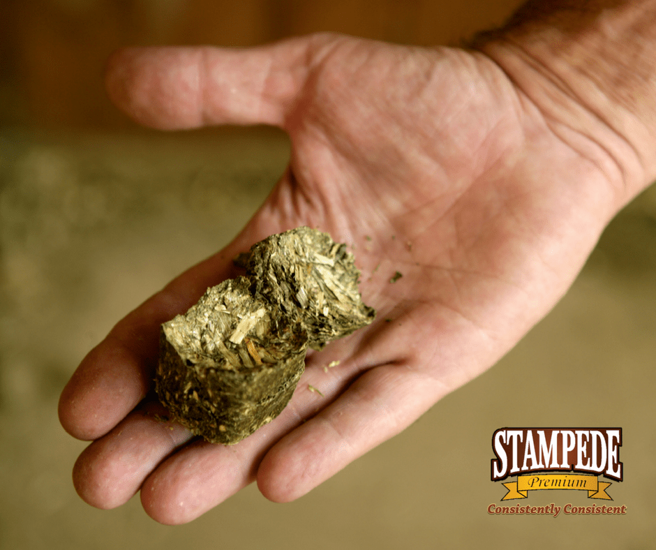 Transitioning your horse from baled hay to cubes or pellets Stampede