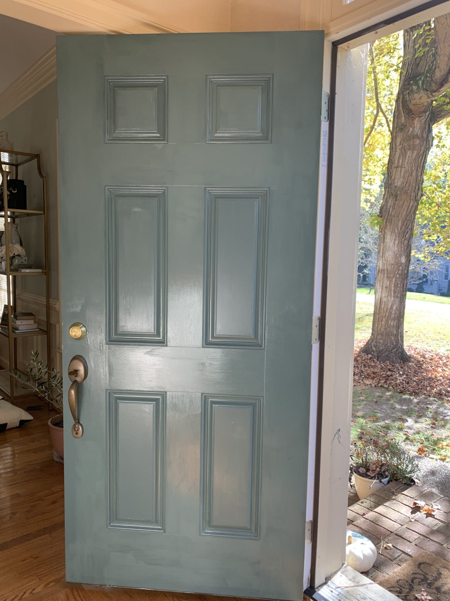 How to Paint a Front Door Like A Pro (Sherwin Williams Riverway)