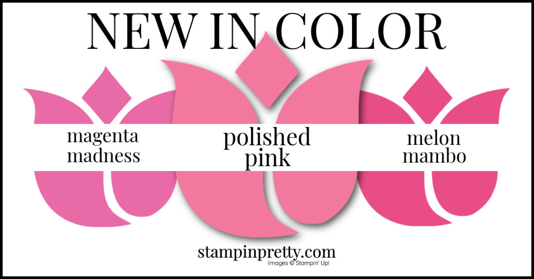 Su Color Comparison 2023 2021-2023 In Color Comparison - Stampin' Pretty