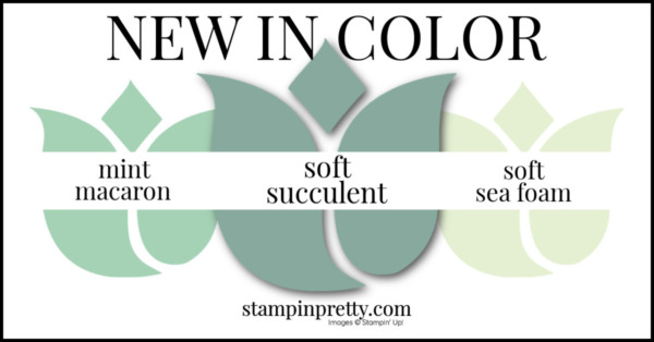 Su Color Comparison 2023 2021-2023 In Color Comparison - Stampin' Pretty