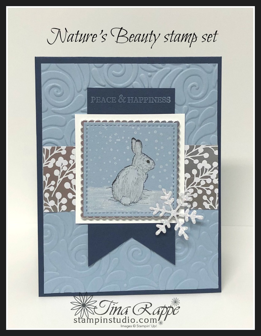 White Chalk Marker Technique with Nature's Beauty set Stampin' Studio