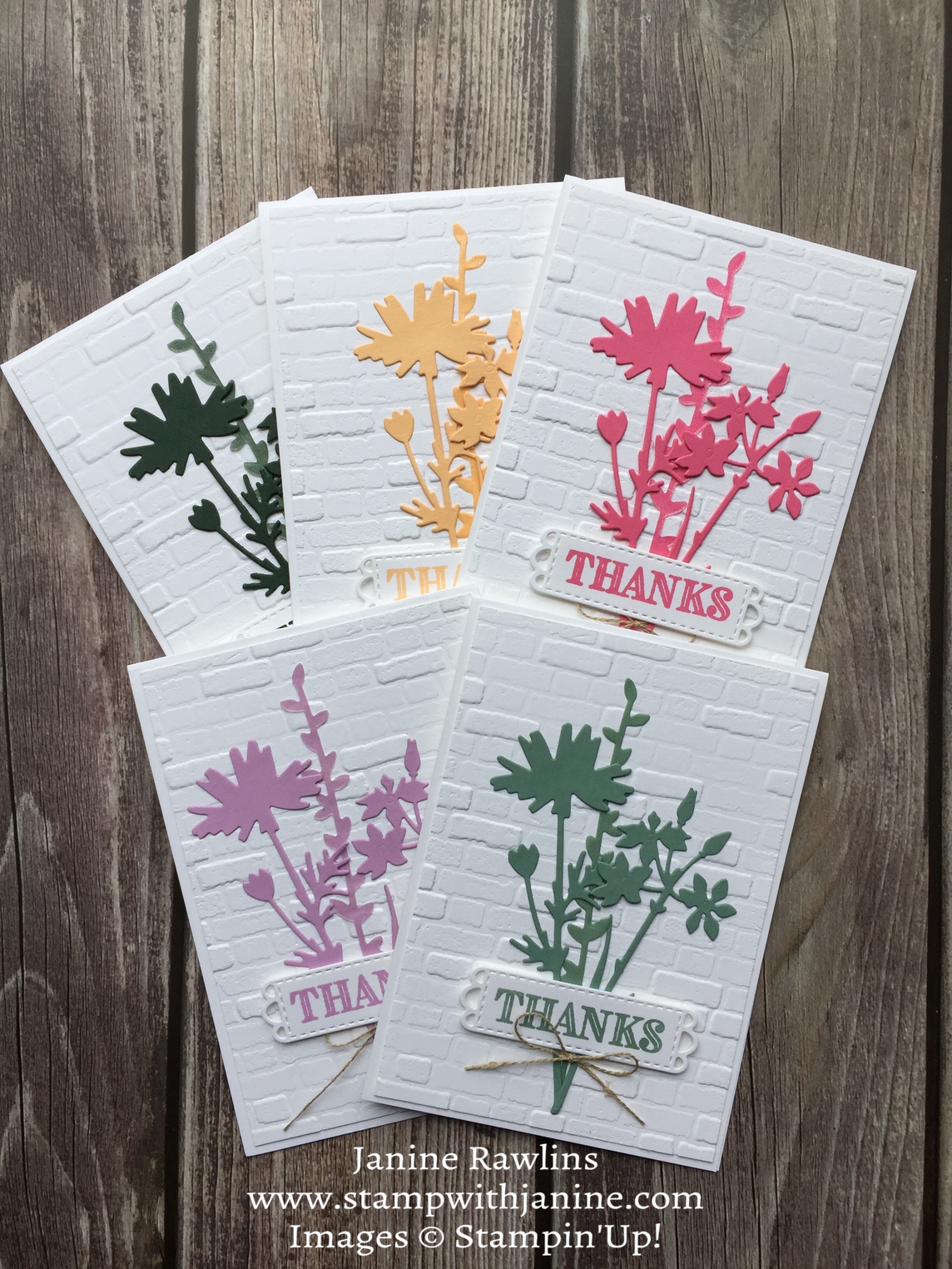 New In Colors Meet Meadow Dies A Fanatical Stamper