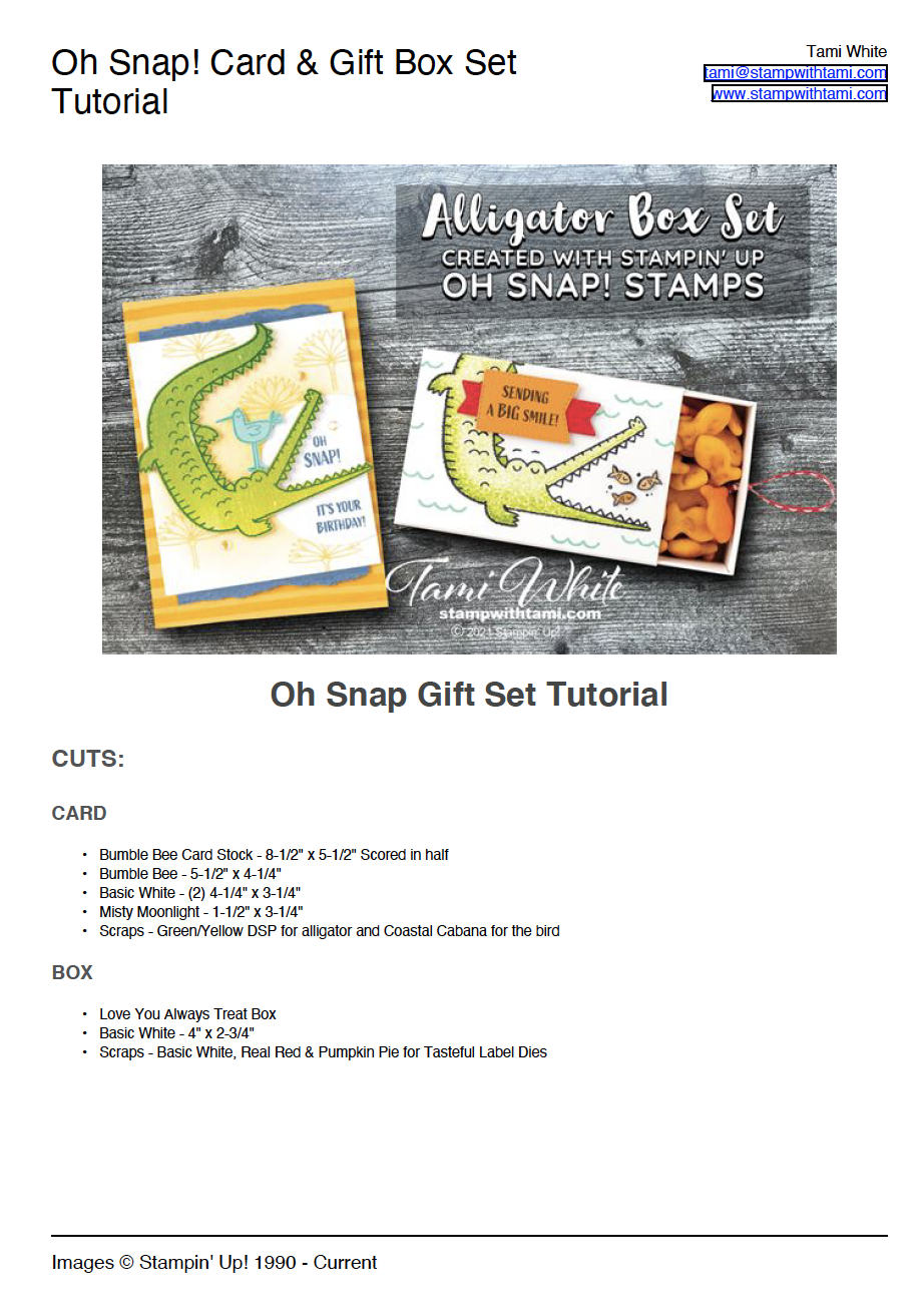 Oh Snap Card & Treat Box Tutorial Stampin' Up!