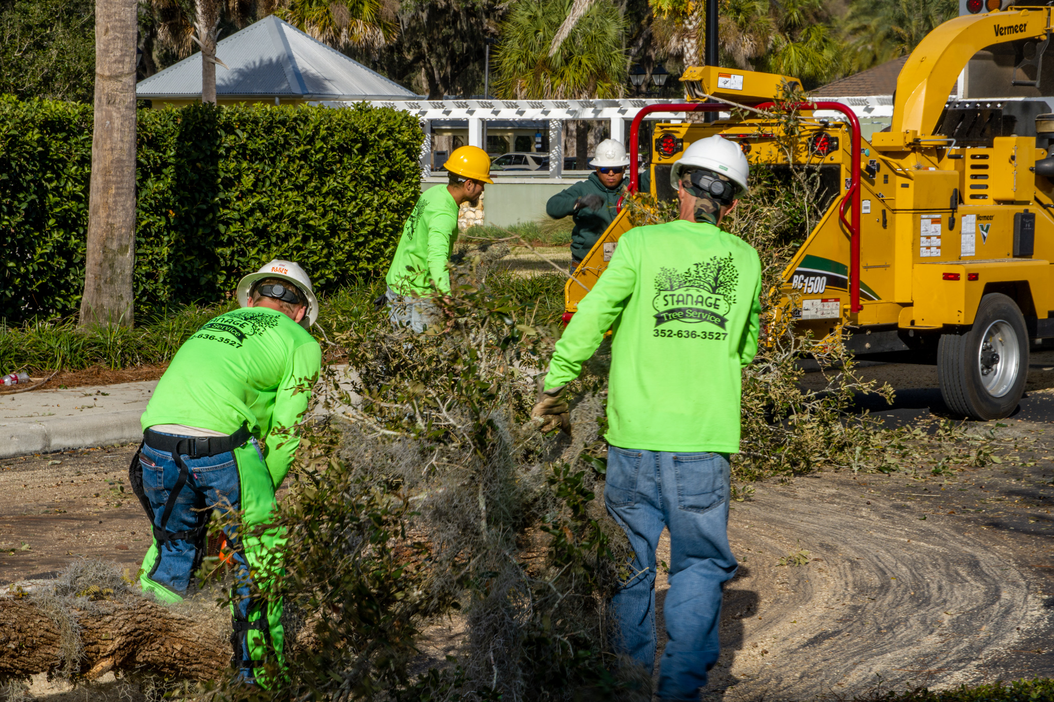 Tree Care Services from Local Arborists Stanage Tree Service