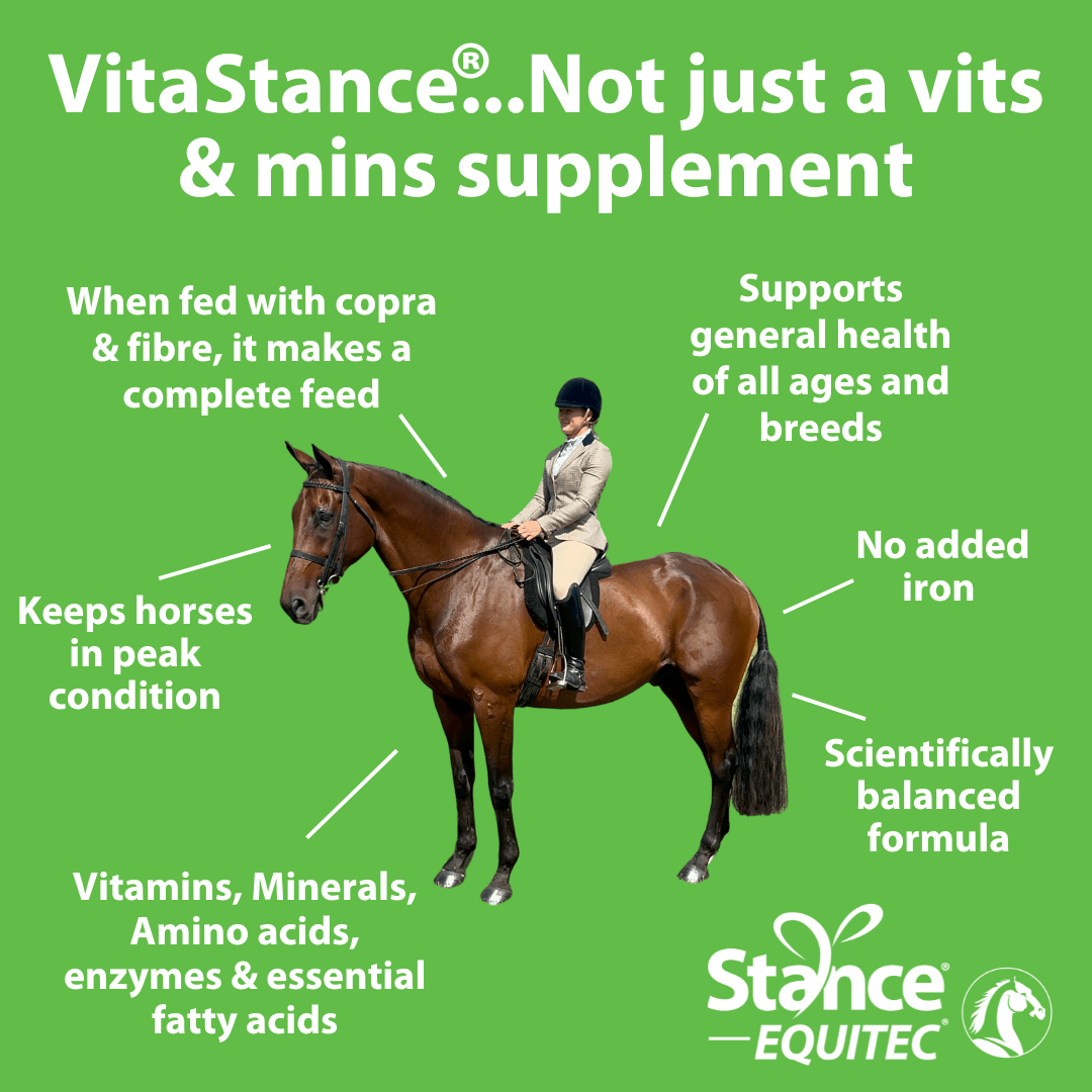 Knowledge Base Stance Global Horse Nutrition