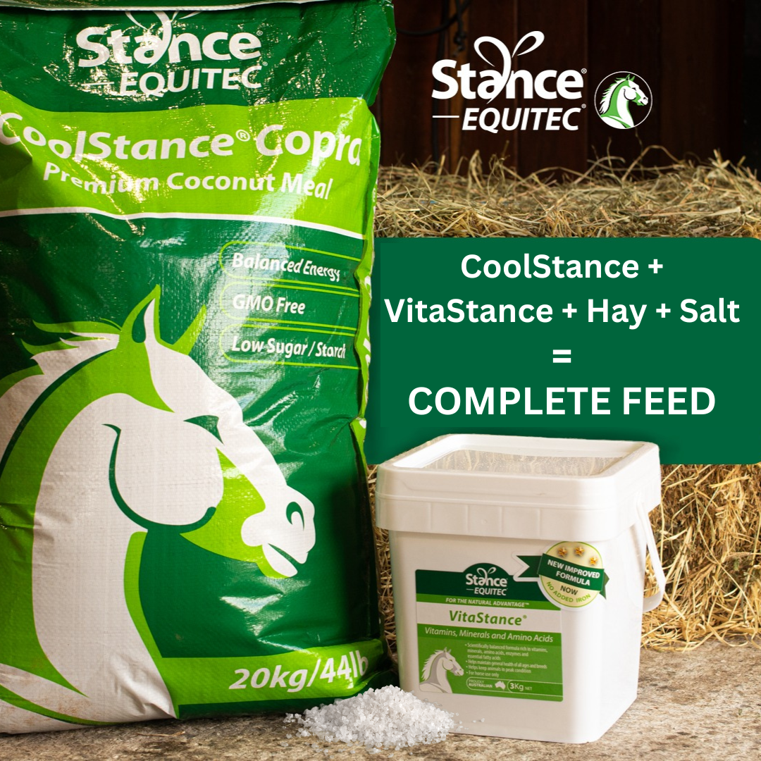 Knowledge Base Stance Global Horse Nutrition