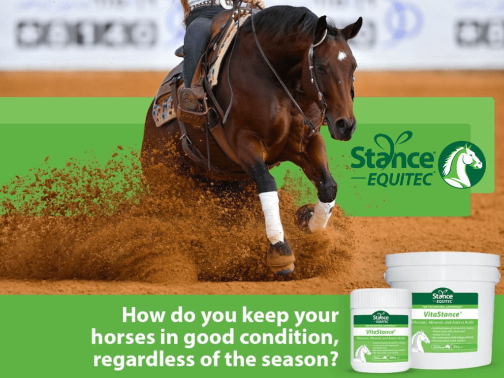 How to you keep your horses in good condition