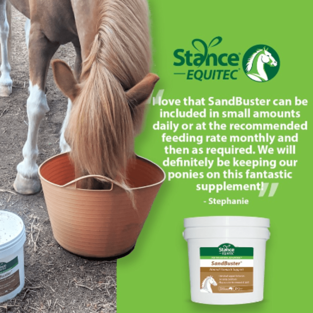 Knowledge Base Stance Global Horse Nutrition
