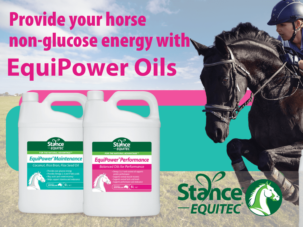 Knowledge Base Stance Global Horse Nutrition