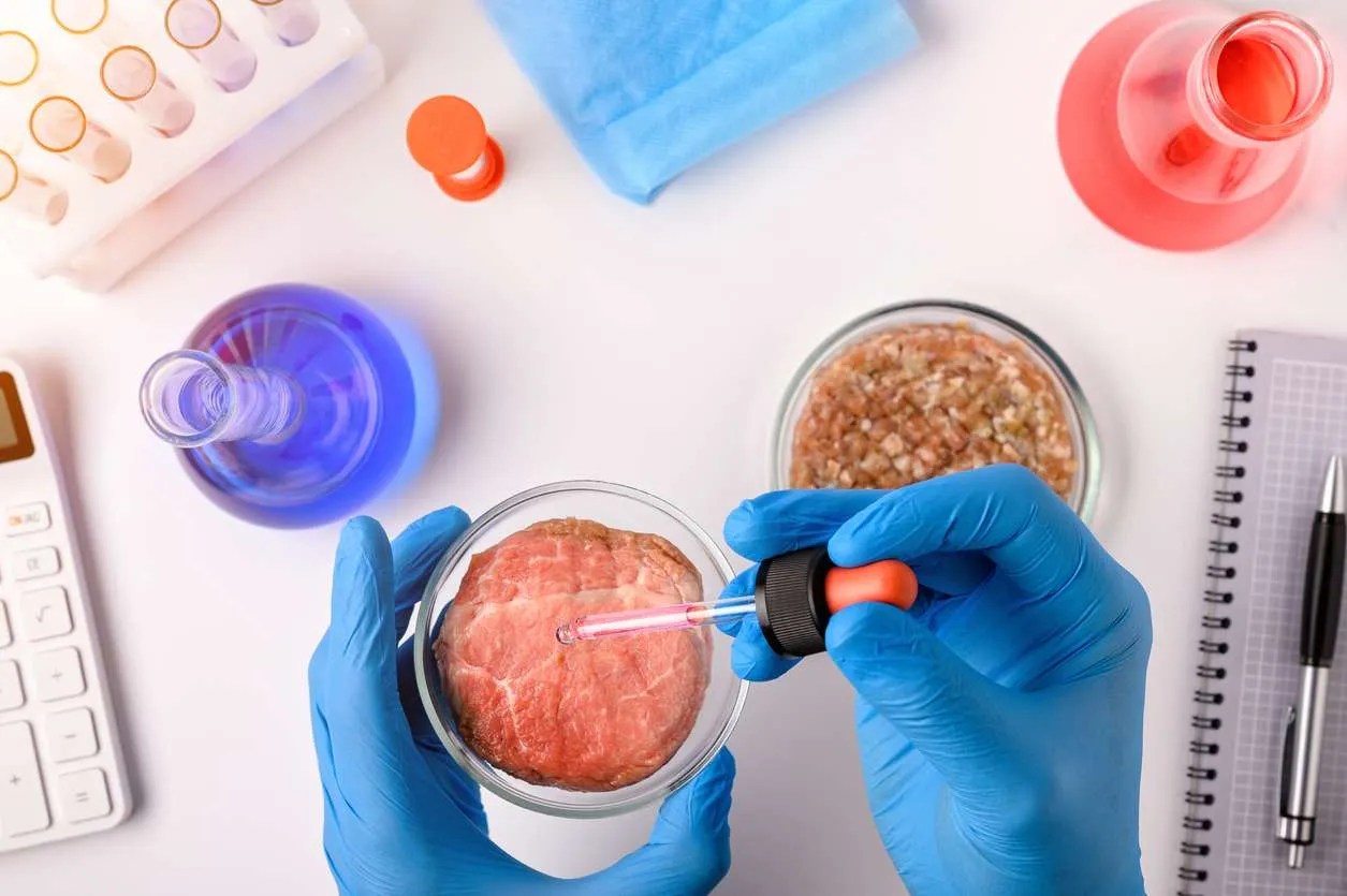Cultured Meat & The Role of the Laboratory in the Food Industry Stancold