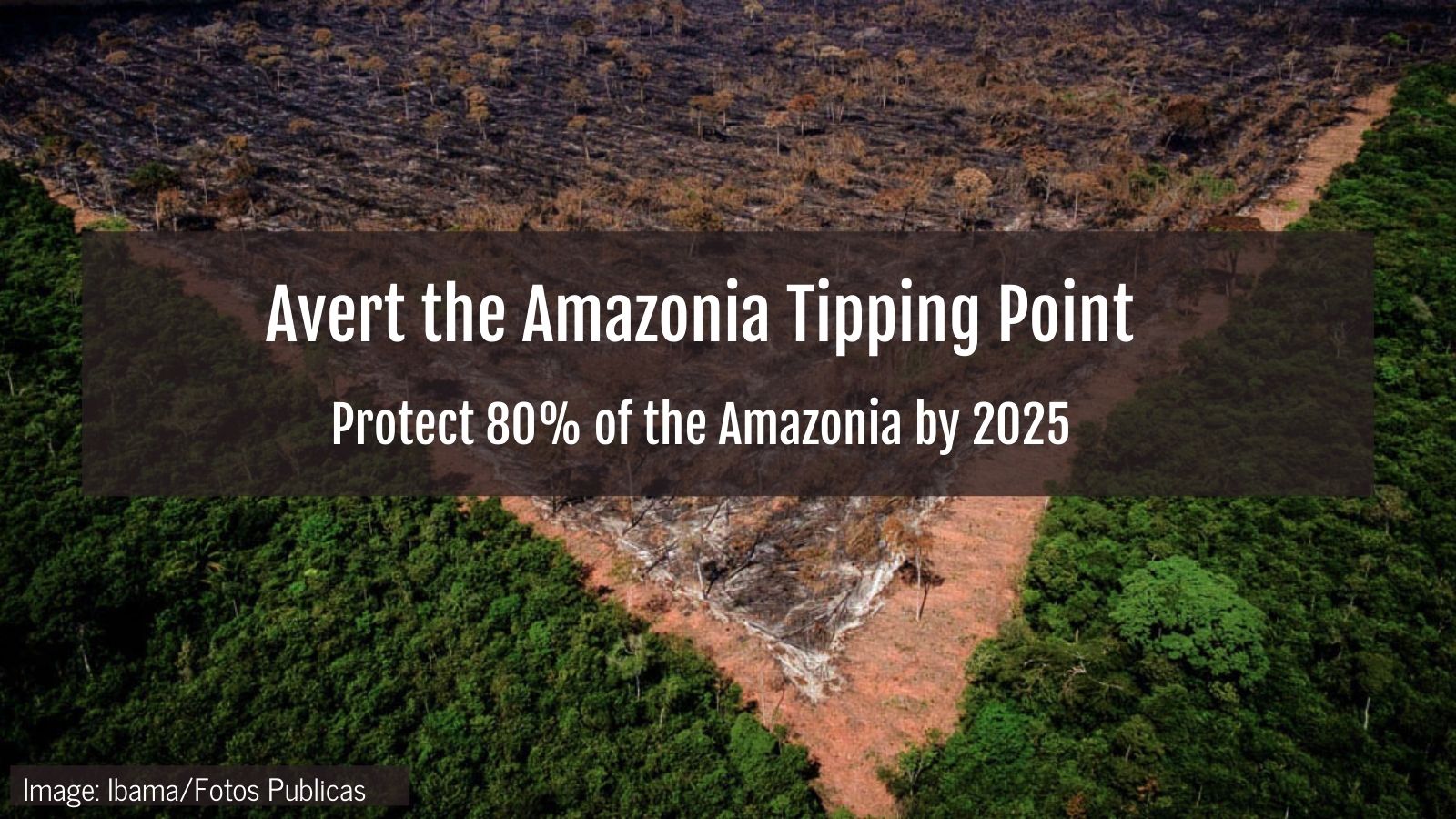 80x25 Protecting the Amazon Stand.earth