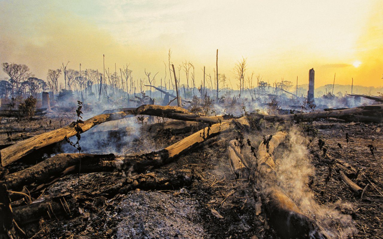 Call on banks to stop fueling Amazon destruction Stand.earth