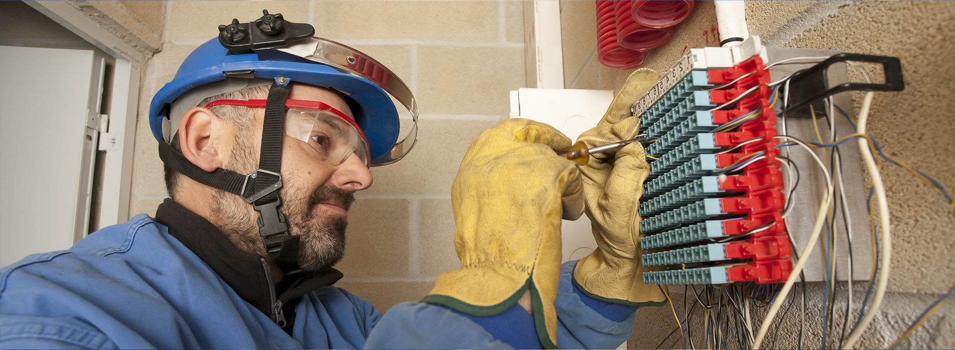 Standard Electricals