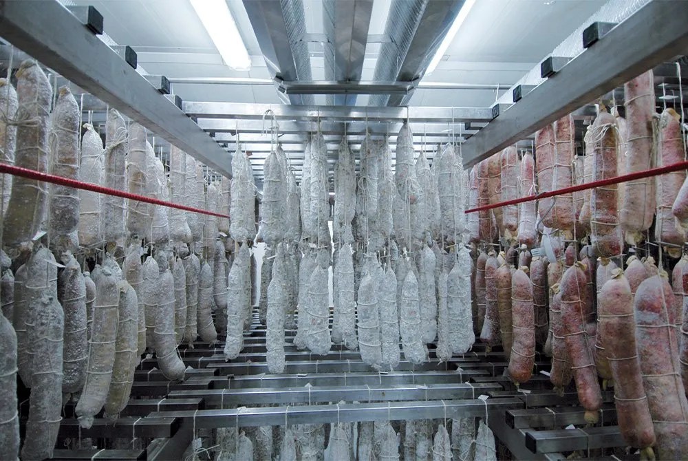 Salami curing chamber Standard Tech Impianti Srl