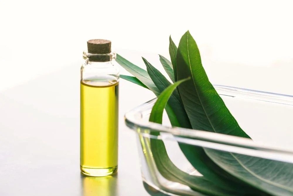 Buy Pure Wood Pressed Oil In Chennai Today! Authentic Taste & Health