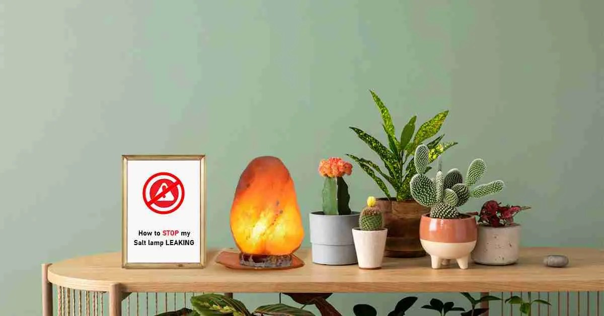 How To Stop My Salt Lamp Leaking? Guide 2024]
