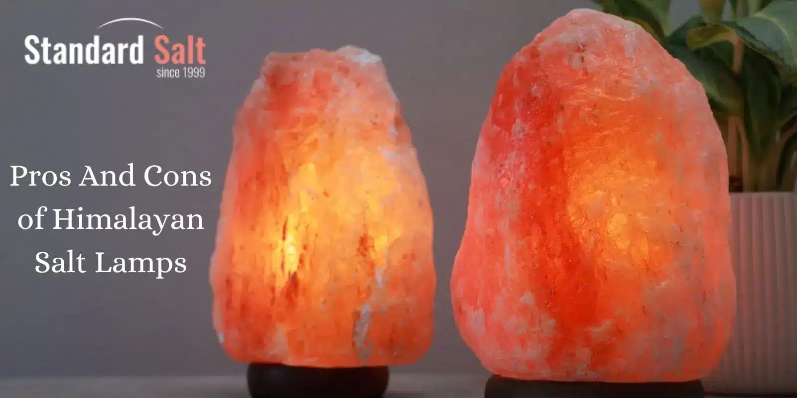 14 Pros And Cons Of Himalayan Salt Lamps What Science Says