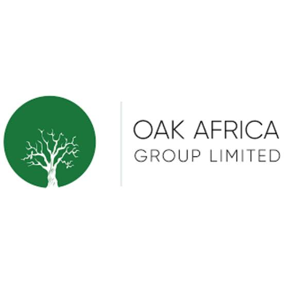 The Oak Holdings launches in Nigeria’s financial market with 4 firms Standard Times NG
