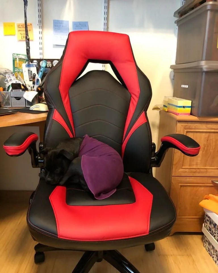 Top 6 Best Ergonomic Gaming Office Chairs Under 200