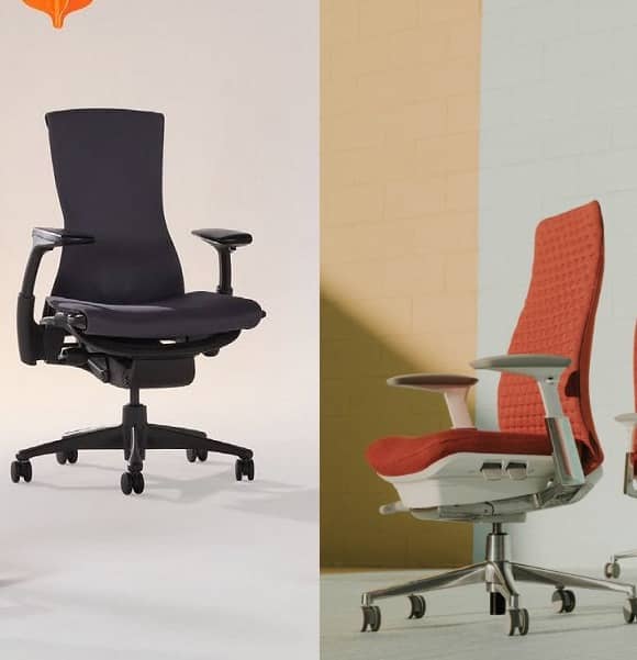 Haworth Fern vs Embody Which is more Comfy for the Back