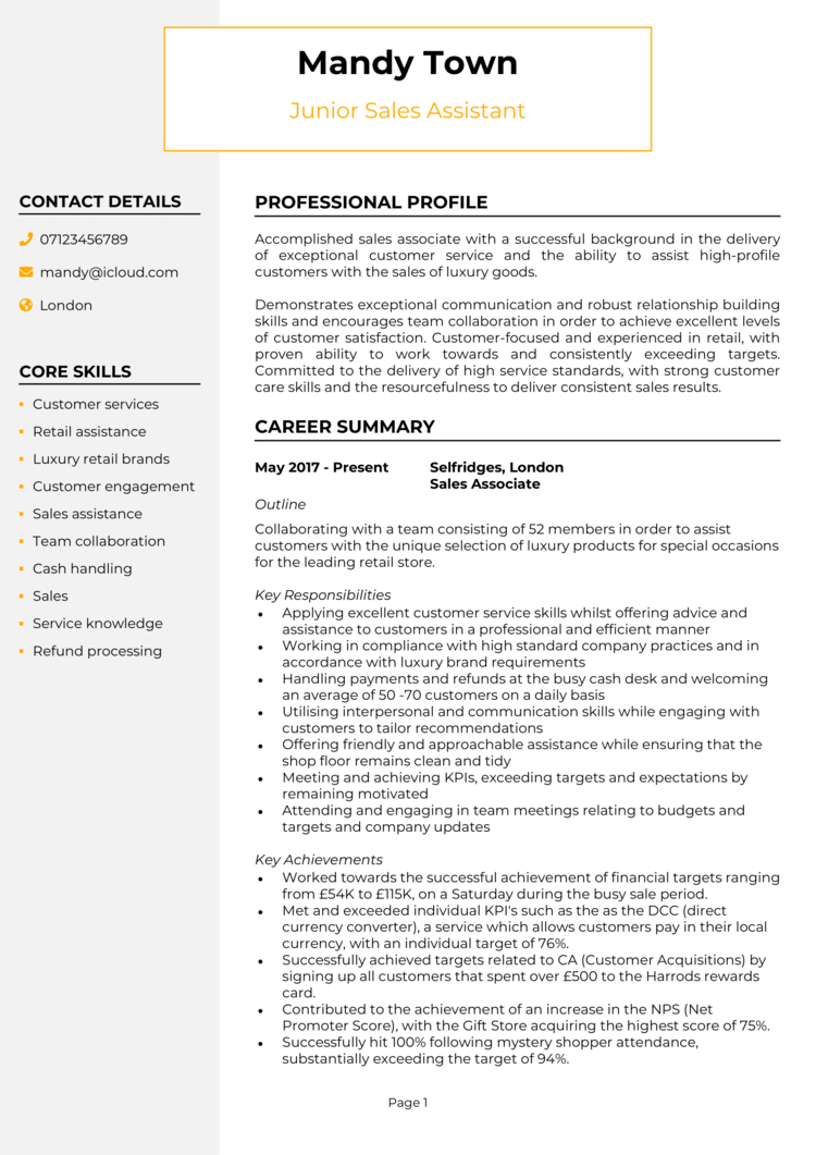 Sales CV template + 6 CV examples [Land a top job] 2024