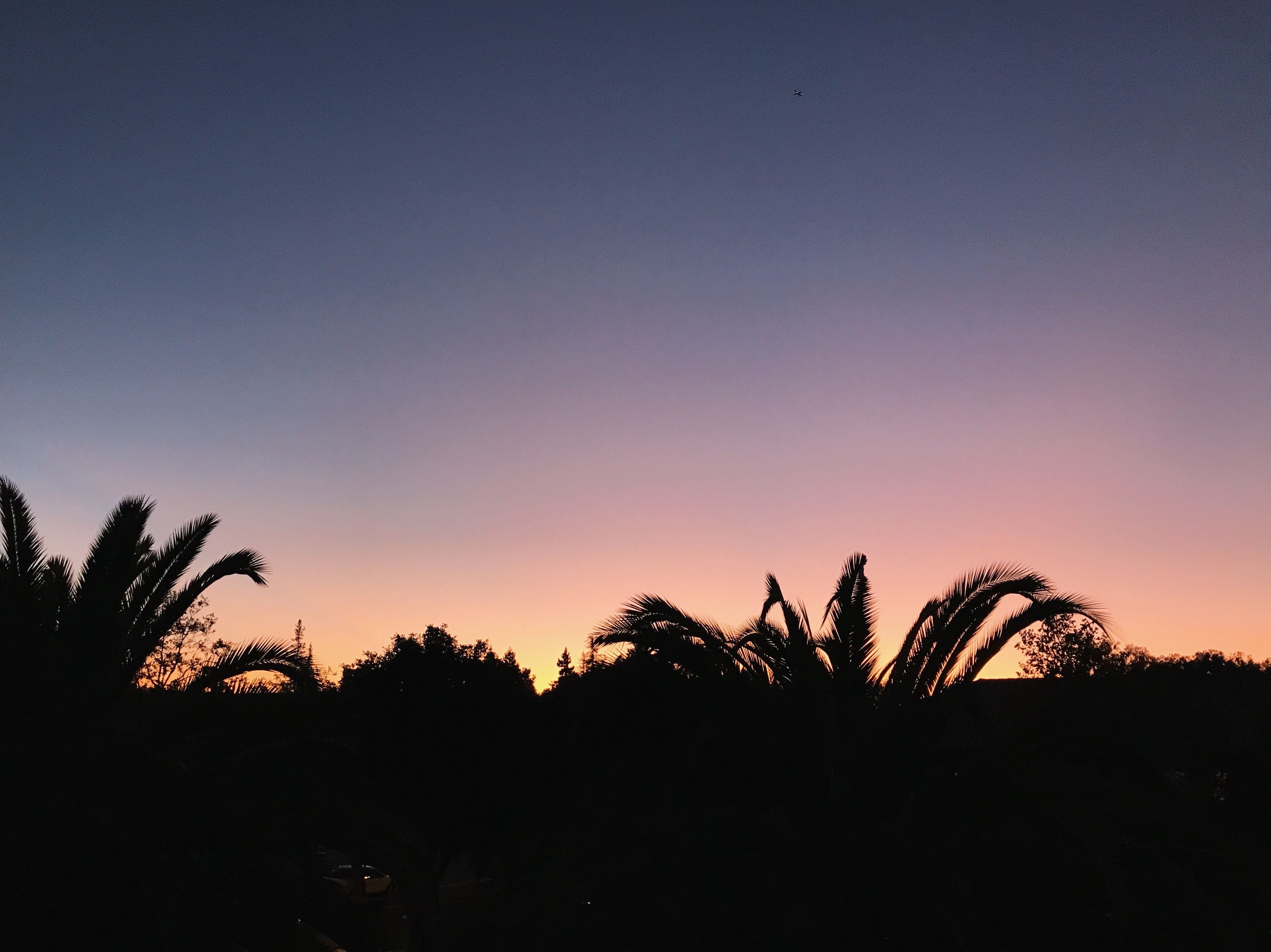 19 things you can do during COVID19 selfquarantine